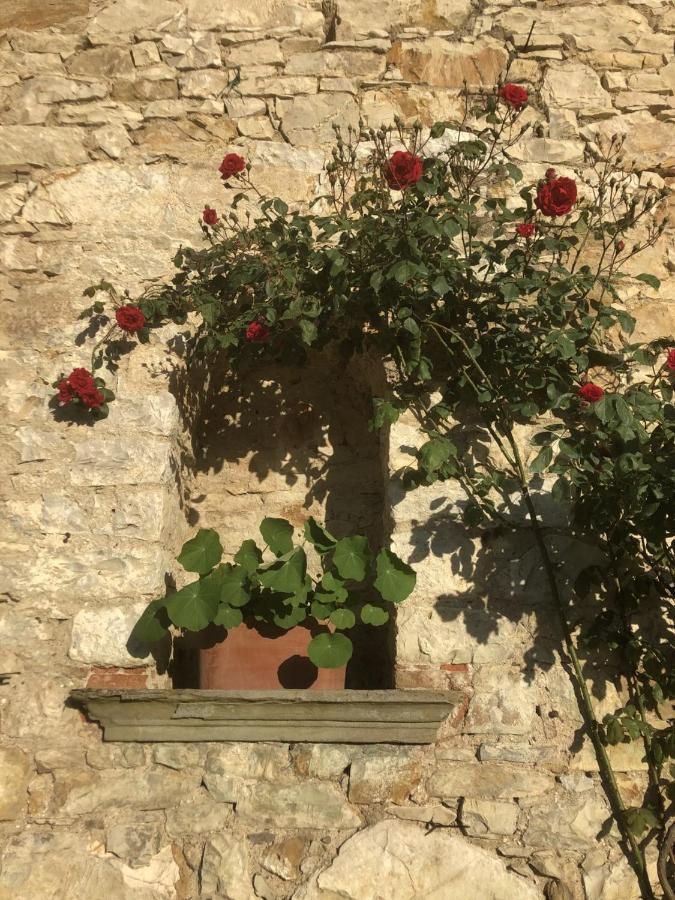 Mea Casa Toscana Castellina in Chianti Exterior foto