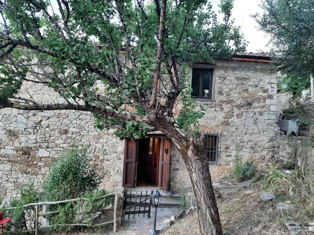 Mea Casa Toscana Castellina in Chianti Exterior foto