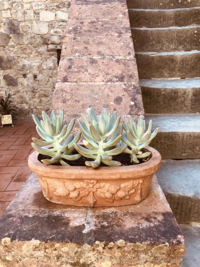 Mea Casa Toscana Castellina in Chianti Exterior foto